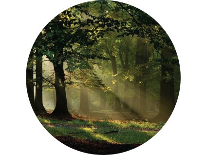 AG Design Samolepicí dekorace Magic Forest 70 cm