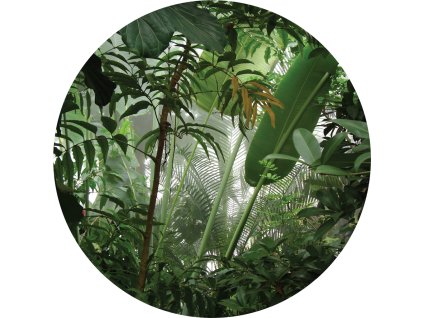 AG Design Samolepicí dekorace Jungle 70 cm