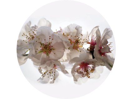 72297 ag design samolepici dekorace floating flowers 140 cm