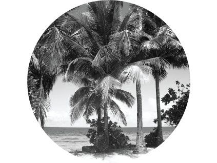 72306 ag design samolepici dekorace monochromatic palms 140 cm