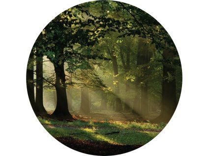72309 ag design samolepici dekorace magic forest 140 cm