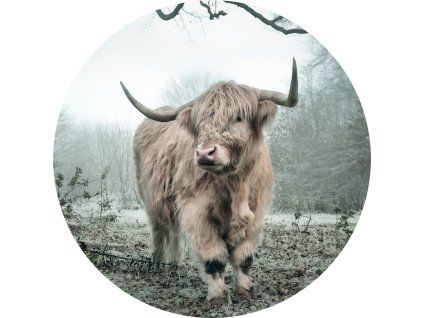 72366 ag design samolepici dekorace highlander 140 cm
