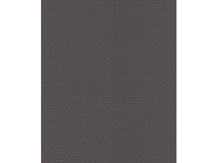 Vliesová tapeta na zeď Rasch 506785, Tapetenwechsel 2, 0,53 x 10,05 m