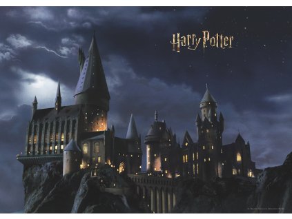 Papírová fototapeta Harry Potter FTDXL1965, 252 x 182 cm