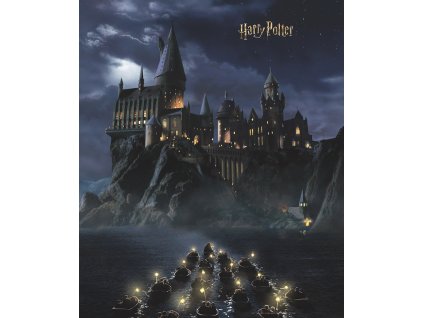 Vliesová fototapeta Harry Potter FTD3P5175, 225 x 270 cm