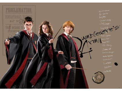 Vliesová fototapeta Harry Potter FTDNM5295, 155 x 110 cm