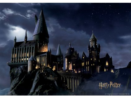 Vliesová fototapeta Harry Potter FTDNM7903, 155 x 110 cm