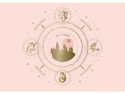 Vliesová fototapeta Harry Potter FTDNM7905, 155 x 110 cm