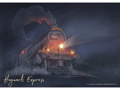 Vliesová fototapeta Harry Potter FTDNM7909, 155 x 110 cm