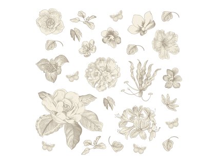 Samolepicí dekorace OLD GRAPHICS FLORALS, SS3869, 30 x 30 cm