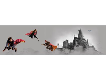 Samolepicí bordura Harry Potter, WBD8143, 5 m x 9,7 cm