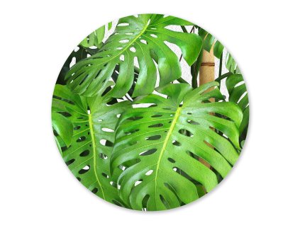 Dekorativní podložka Monstera and bamboo FM4726, 10 x 10 cm (4 ks)