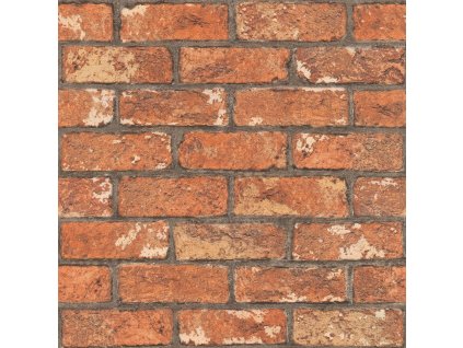 Papírová tapeta na zeď 278217, Selection Paper, 0,53 x 10,05 m