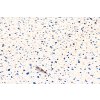 Samolepicí fólie d-c-fix Terrazzo neo, šíře 67,5 cm