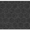 Obklad stěn Ceramics černý hexagon 270-0179, 67,5 cm