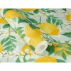 117552 3 samolepici tapeta na zed citrony 0 53 x 6 00 m