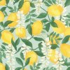 117552 samolepici tapeta na zed citrony 0 53 x 6 00 m