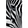 Textilní závěs ZEBRA FCSL7519, 140 x 245 cm (1 ks), lehké zastínění