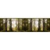 52292 2 samolepici bordura les wb8214 5 m x 13 8 cm