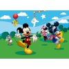 AG Design 4 dílná fototapeta MICKEY MOUSE FTD 0253, 360 x 254 cm papír