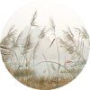 72180 ag design samolepici dekorace reeds 70 cm
