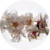 72186 ag design samolepici dekorace floating flowers 70 cm