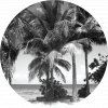 72195 ag design samolepici dekorace monochromatic palms 70 cm