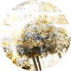 72288 ag design samolepici dekorace magic of dandelion 140 cm