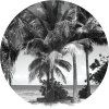 72306 ag design samolepici dekorace monochromatic palms 140 cm