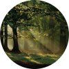 72309 ag design samolepici dekorace magic forest 140 cm