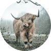 72366 ag design samolepici dekorace highlander 140 cm