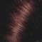 chocolate red