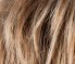 lightbernstein/rooted