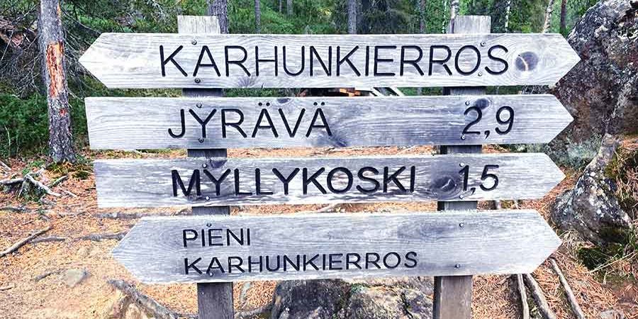 Po stopách finské houby nesmrtelnosti – divoká Chaga