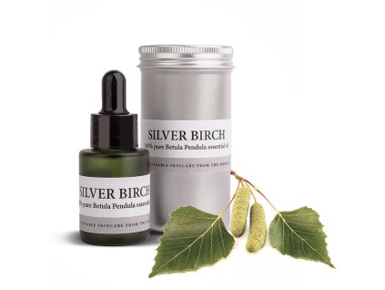 silver birch Edit