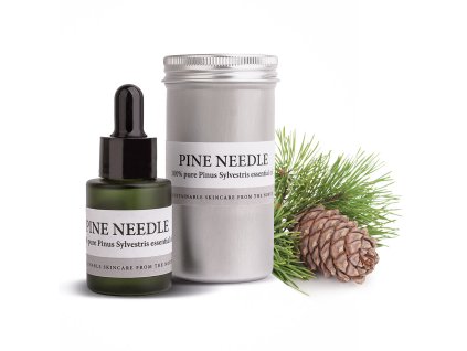 pine needle Edit