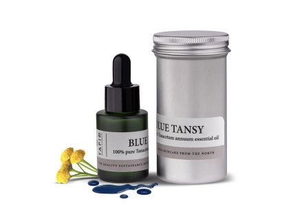 blue tansy (1)
