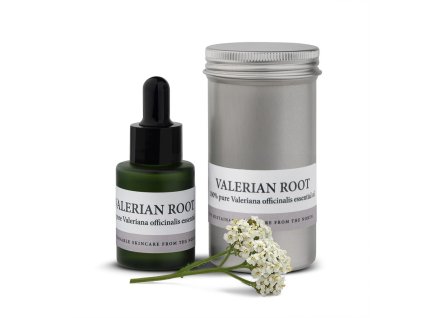 valerian–root Edit