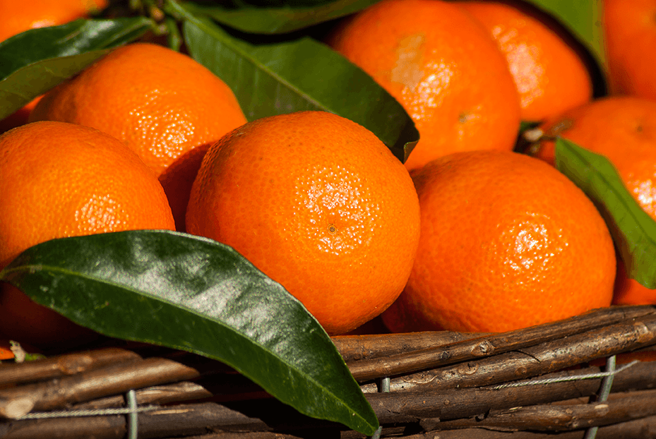 fruit-1960405