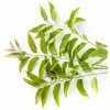 NEEM & BRAHMI detoxikační mycí gel - strong