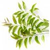 NEEM & BRAHMI detoxikační mycí gel
