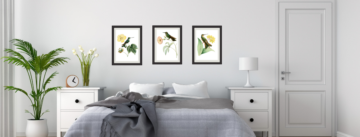 Ložnice a obrázky kolibříků