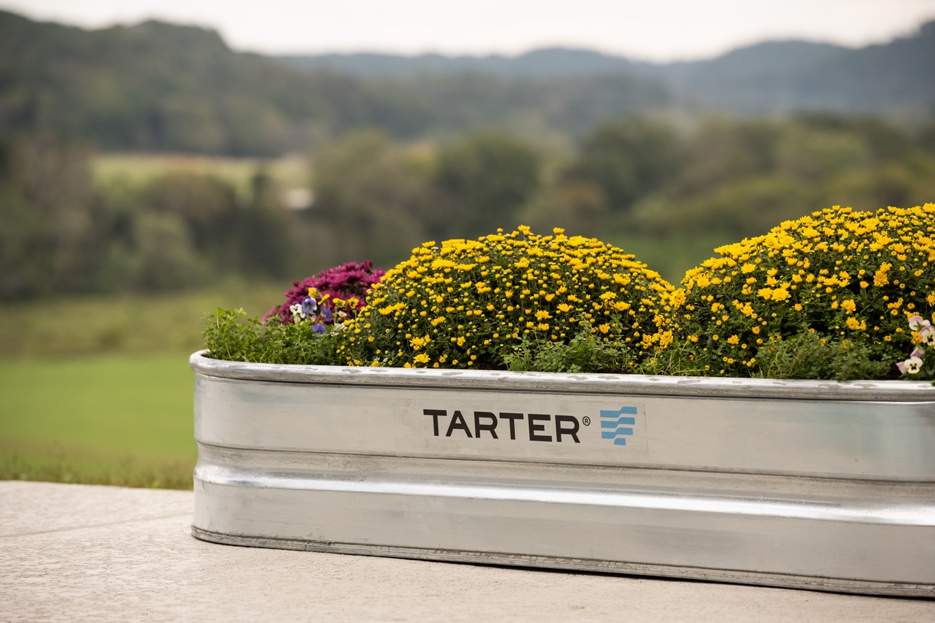 WT216 New Tarter