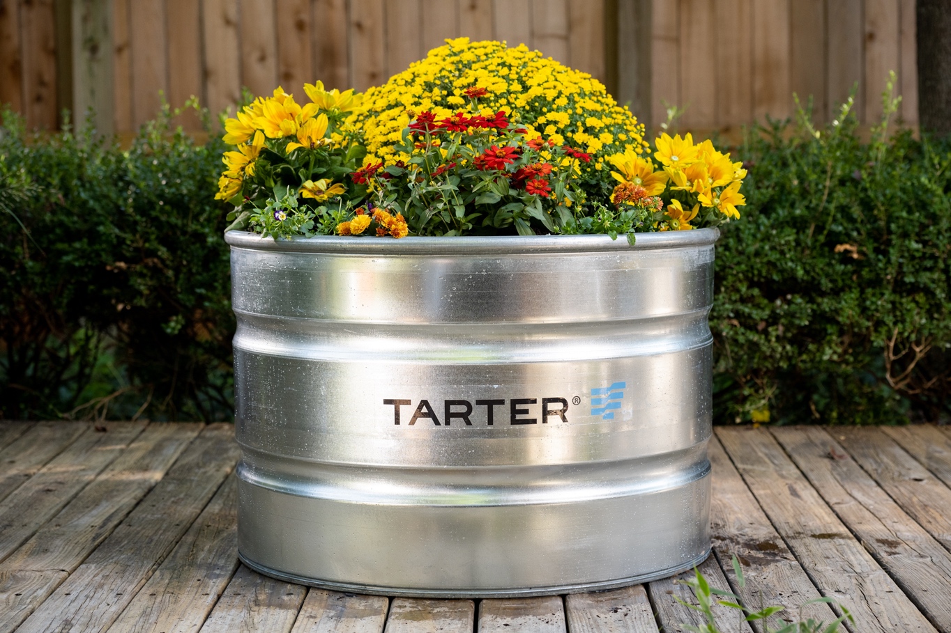 WTR32 New Tarter