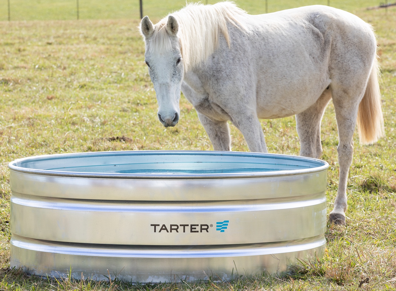 WTR62 New Tarter