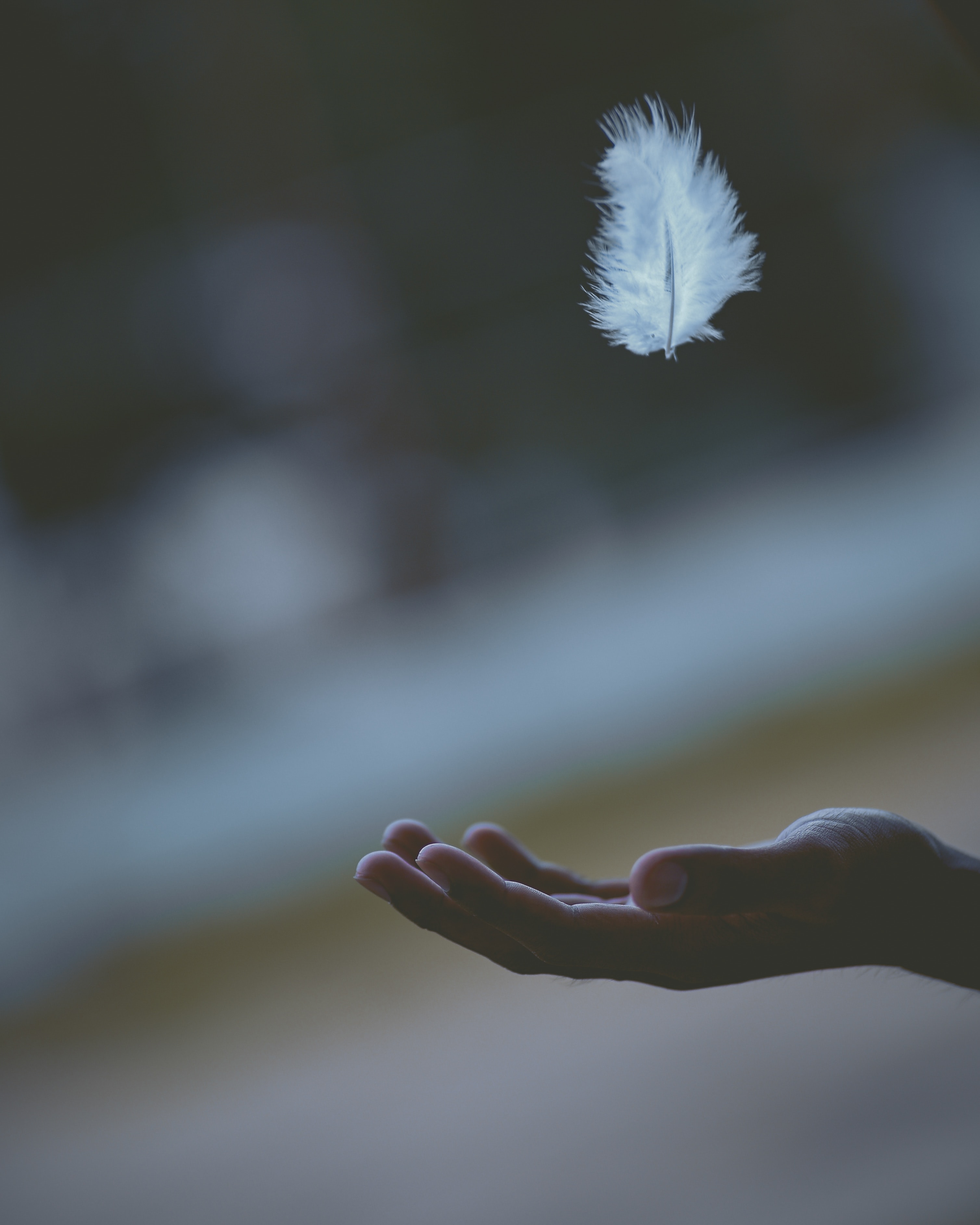 javardh_Unsplash