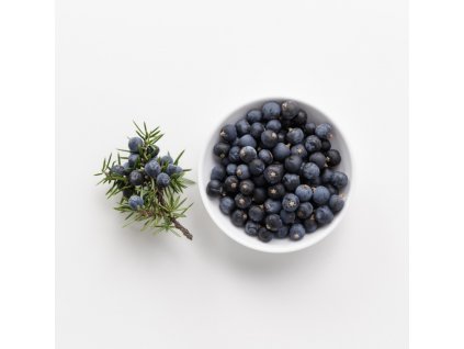 9E834E8F 8A1F 4038 82E0 D7399D136EE3