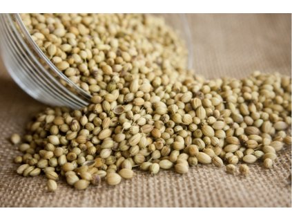 BBDB6462 B88E 419B 8F3D D7287ADC306D