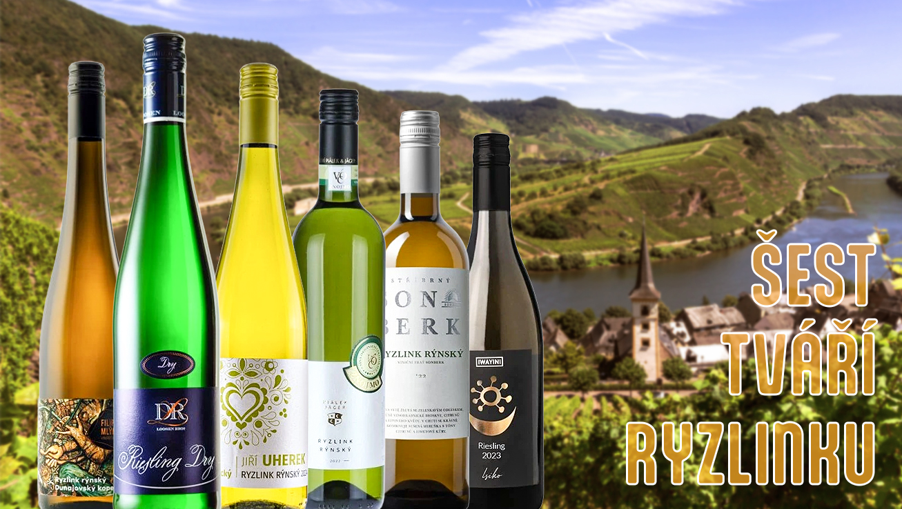 výběr ryzlinků rýnských