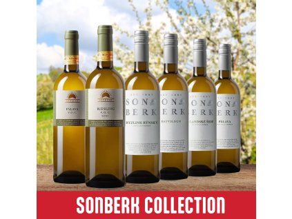 Sonberk Collection